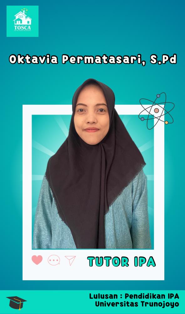 Tutor Profesional