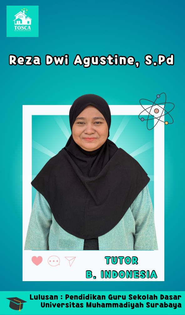 Tutor Profesional